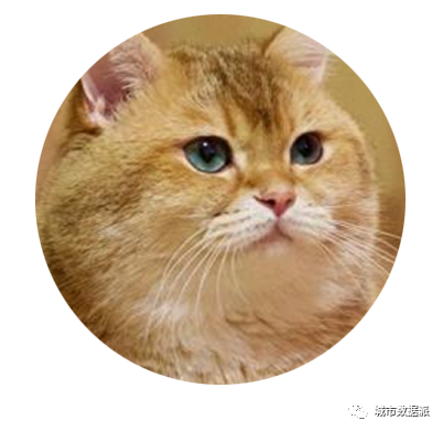 优秀学员阎逸飞：基于杭州市路网的空间句法简析丨城市数据派