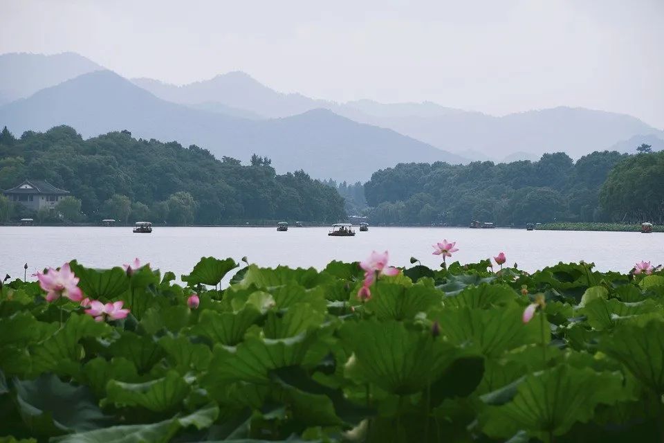 广东省科学技术奖 | 高密度建成区黑臭水体“厂网河（湖）城”系统治理关键技术与示范