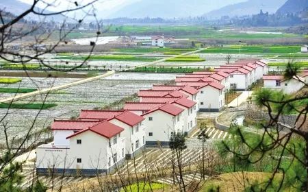 宋亚平:农村治理现代化进程中的农民问题