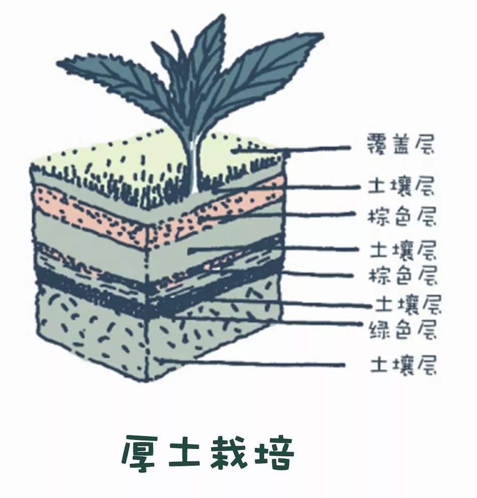 垃圾再生｜社区花园生态堆肥操作指南