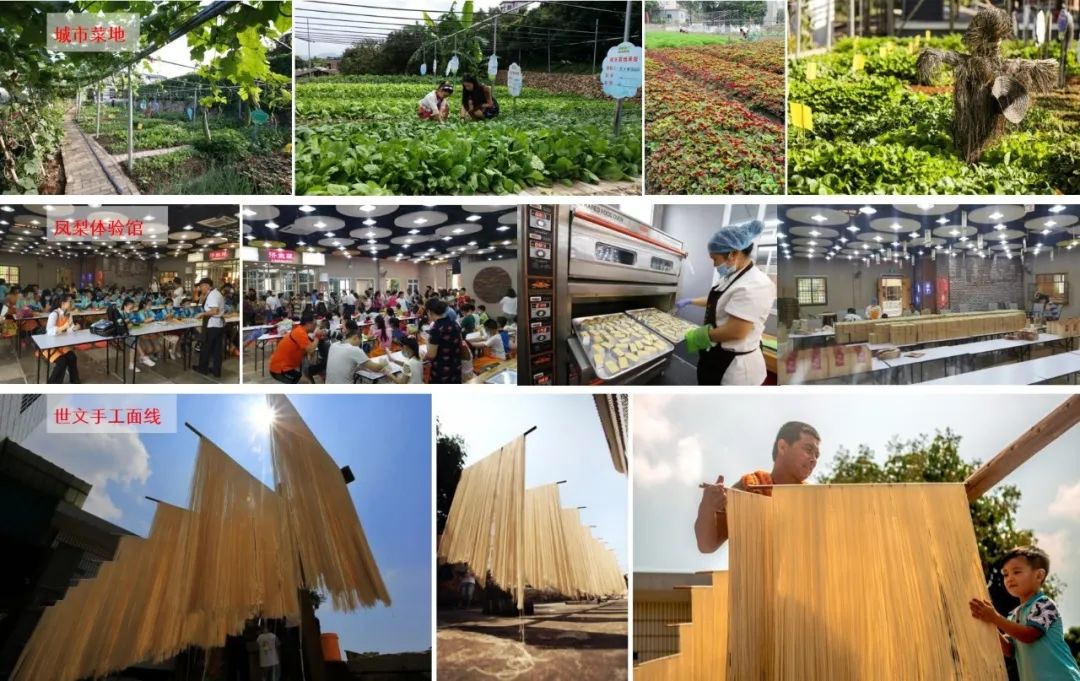 厦门海沧区青礁村院前社规划设计及行动计划 厦门海沧区青礁村院前社规划设计及行动计划