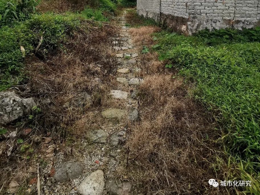 高手在民间:那些石头房的改造故事 高手在民间:那些石头房的改造故事