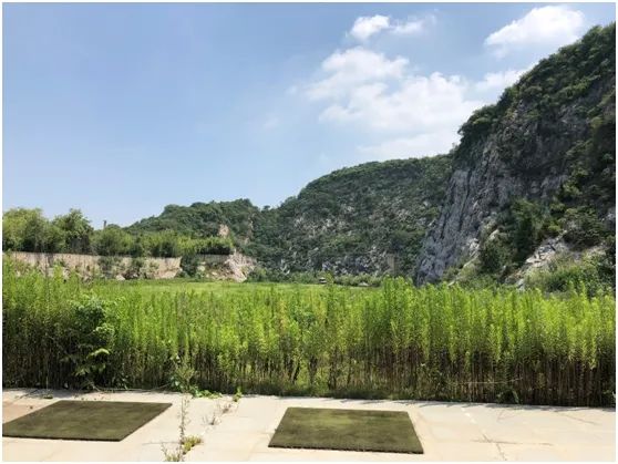 南京园博园 | 打造顶级山地花园群之地形与空间营造