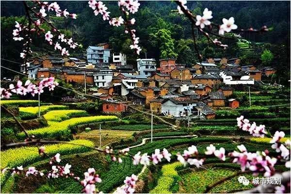 【文章导读】“多规合一的实用性村庄规划”怎么做：2019中国城市规划年会学术对话综述