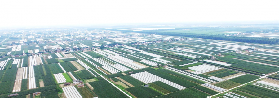 东台市省级特色田园乡村建设 | 立足技术集成，发挥协同优势，服务乡村振兴