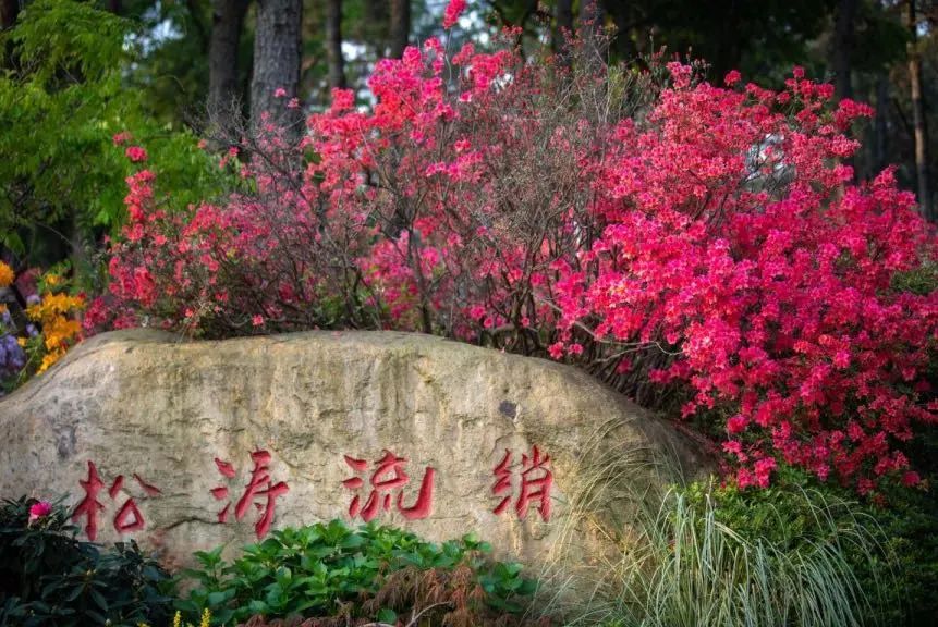 回望来时路，已郁郁葱葱：一览“两山”理论在余杭大地的生动实践（开篇）