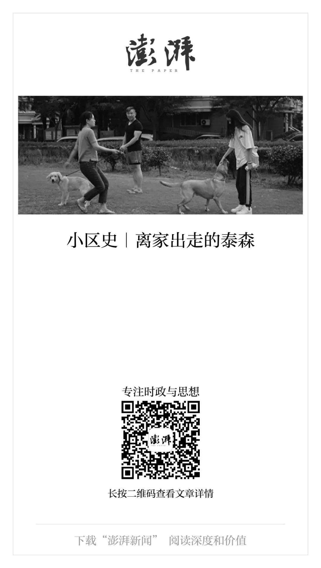 小区史｜离家出走的泰森