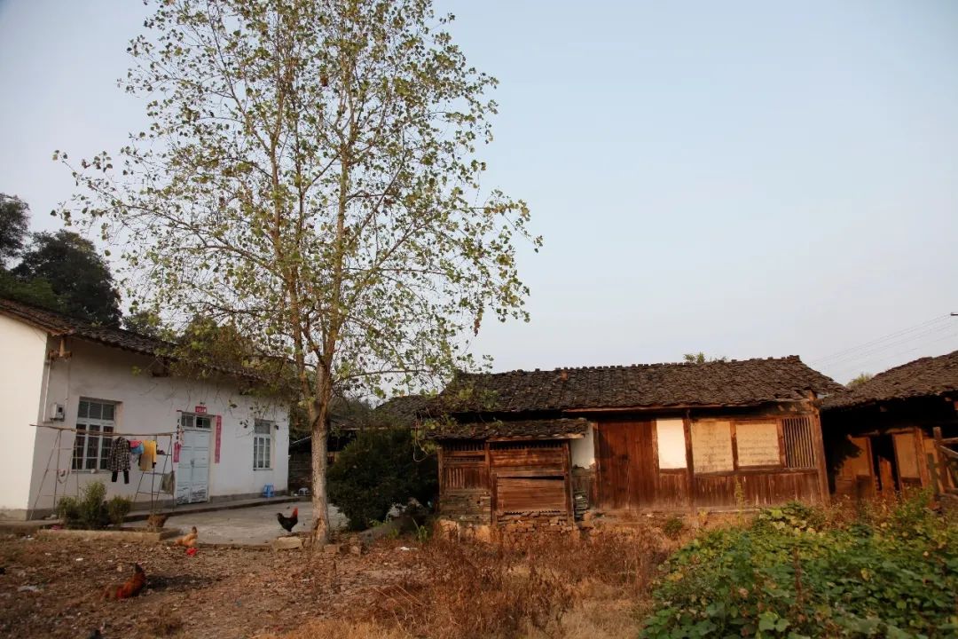 爱遗产·爱生活|一枚胡建人的万寿岩遗址保护工作小记 爱遗产·爱生活|一枚胡建人的万寿岩遗址保护工作小记