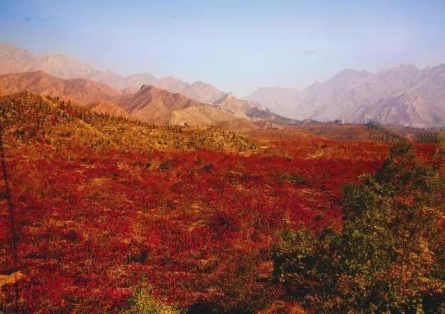 城市体检评估成果交流：石嘴山篇 ——资源型城市转型监测评估