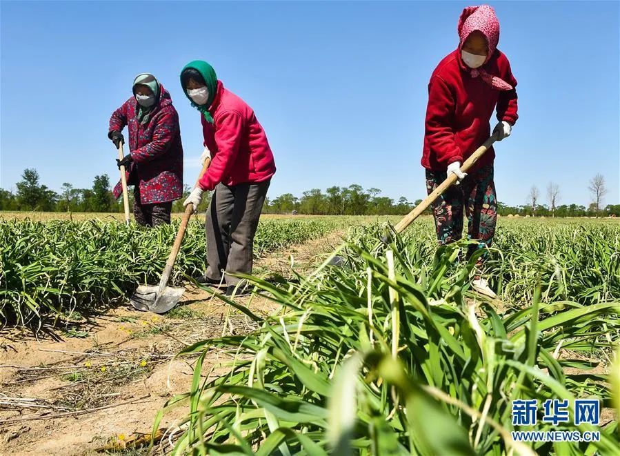 从人民中汲取磅礴力量 ——习近平总书记同出席2020年全国两会人大代表、政协委员共商国是纪实