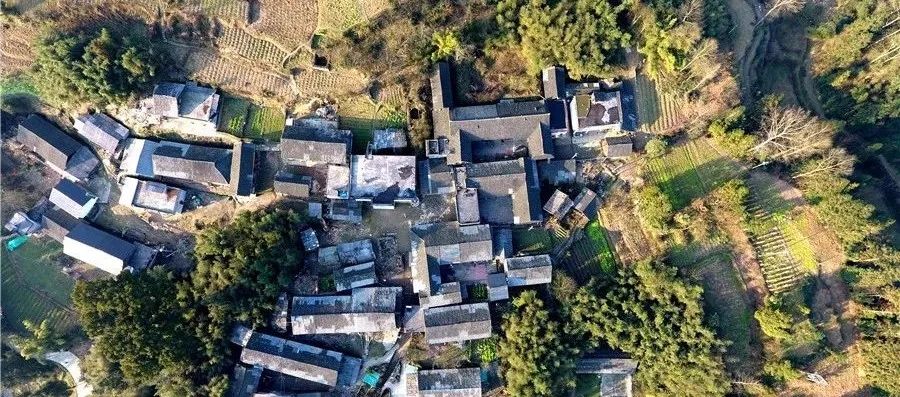 【文章导读】“多规合一的实用性村庄规划”怎么做：2019中国城市规划年会学术对话综述