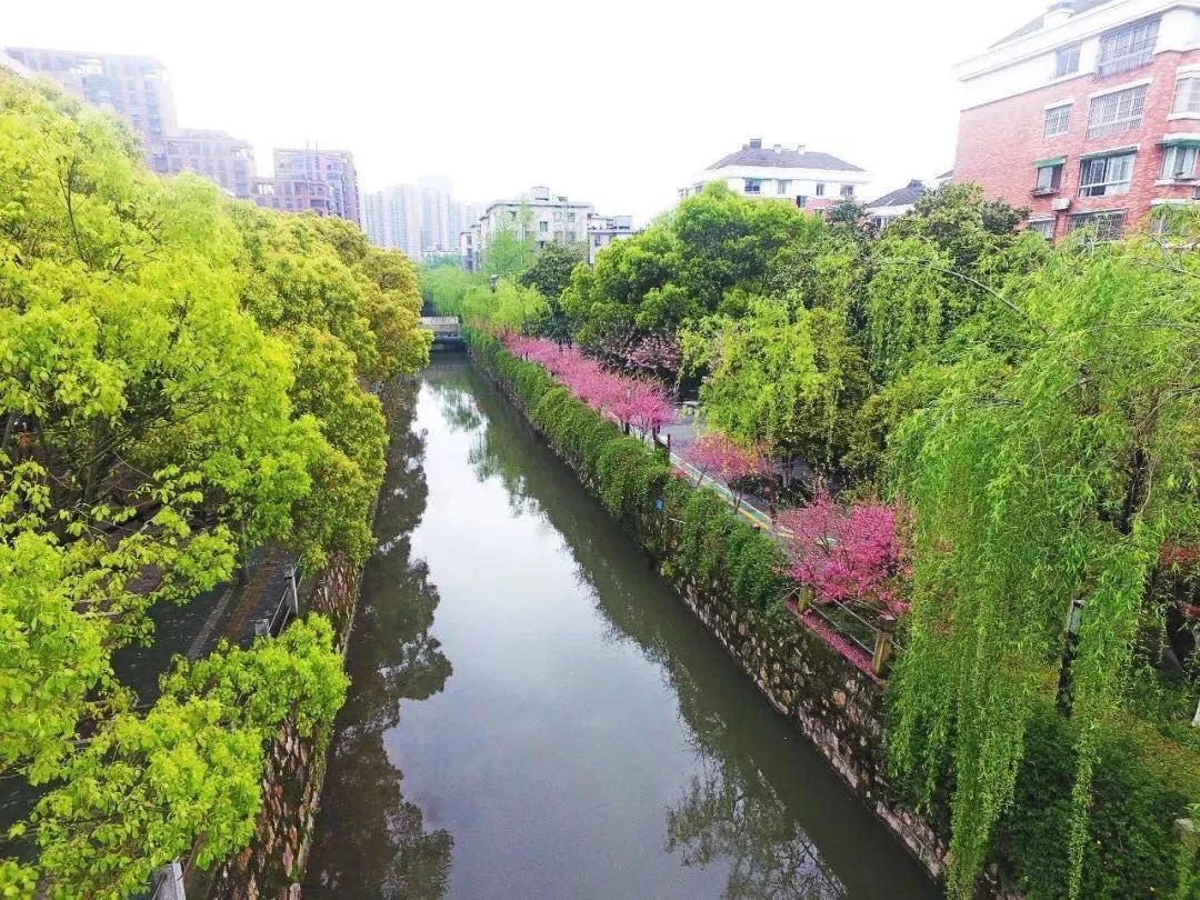 回望来时路，已郁郁葱葱：一览“两山”理论在余杭大地的生动实践（开篇）