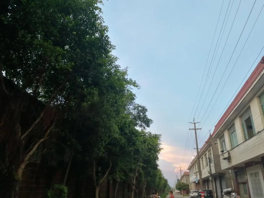 漫长的假期｜四川夹江，“西部瓷都”的故乡记事