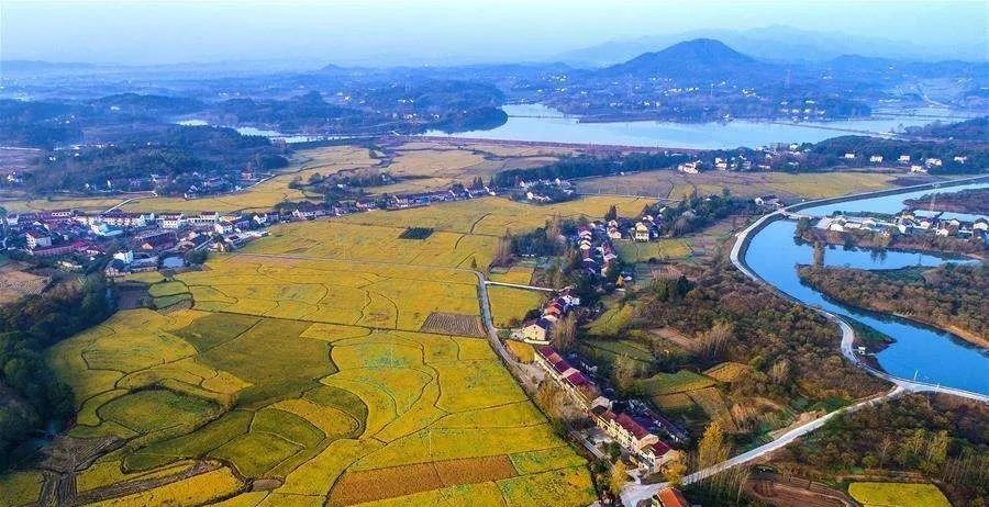 【文章导读】“多规合一的实用性村庄规划”怎么做：2019中国城市规划年会学术对话综述