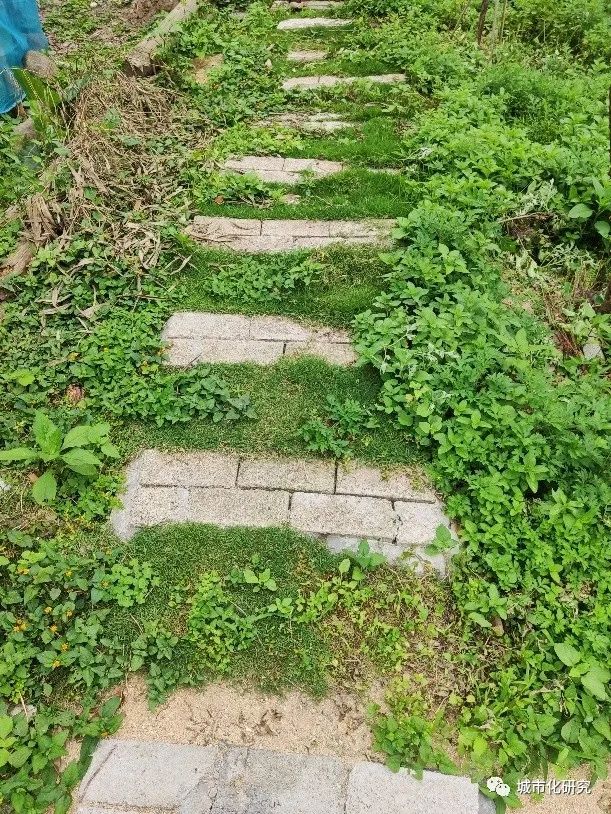 高手在民间:那些石头房的改造故事 高手在民间:那些石头房的改造故事
