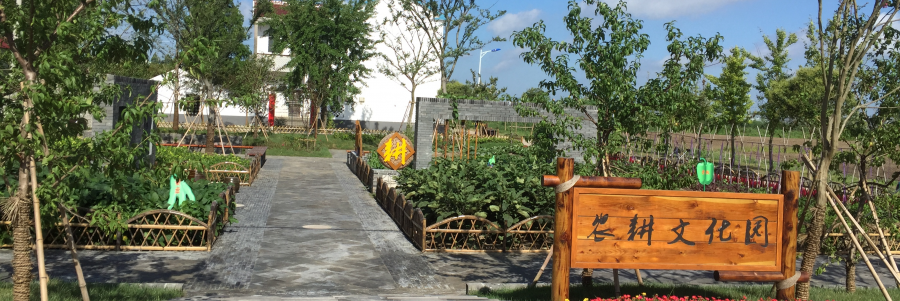 东台市省级特色田园乡村建设 | 立足技术集成，发挥协同优势，服务乡村振兴