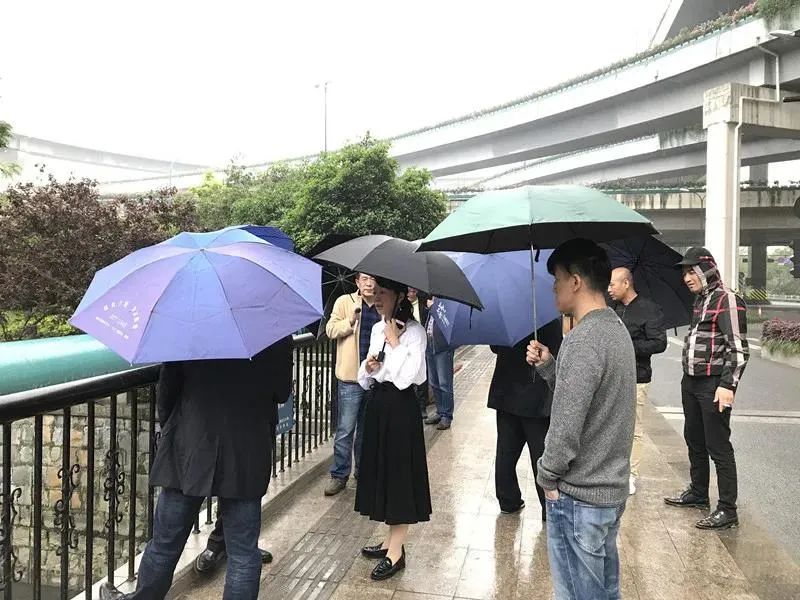 从“三色预警”到管护“红榜”！这条河如何实现逆袭？