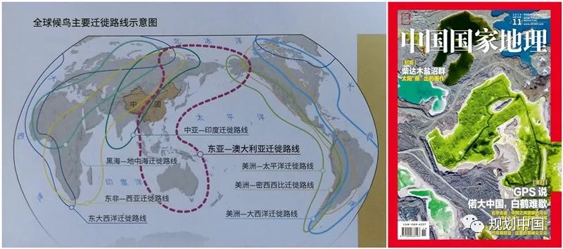 保护生物多样性——生态文明背景下国土空间规划的逻辑基础