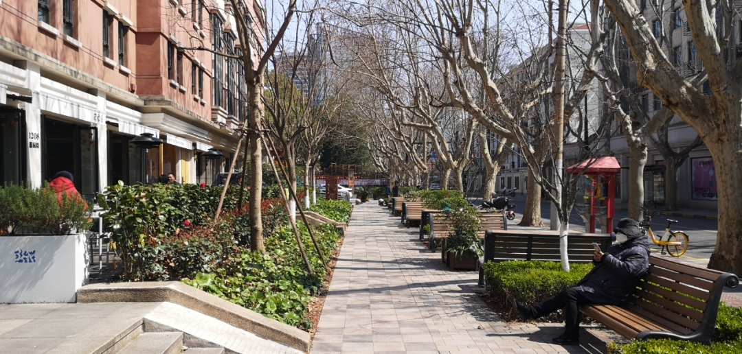 408研究小组 | 解密一线城市的街道——全国团体标准《街道设计指南》问卷结果发布(下) 408研究小组 | 解密一线城市的街道——全国团体标准《街道设计指南》问卷结果发布(下)