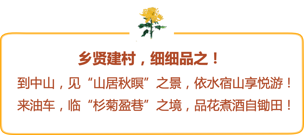 品村 | 先发地区“老牌明星村”的提档升级之路——以无锡市山联村为例
