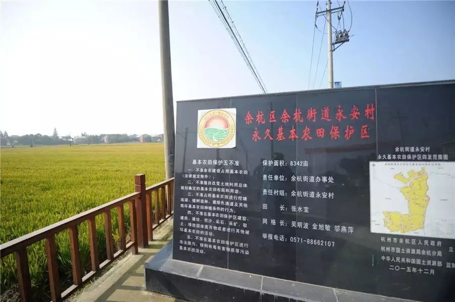 回望来时路，已郁郁葱葱：一览“两山”理论在余杭大地的生动实践（开篇）