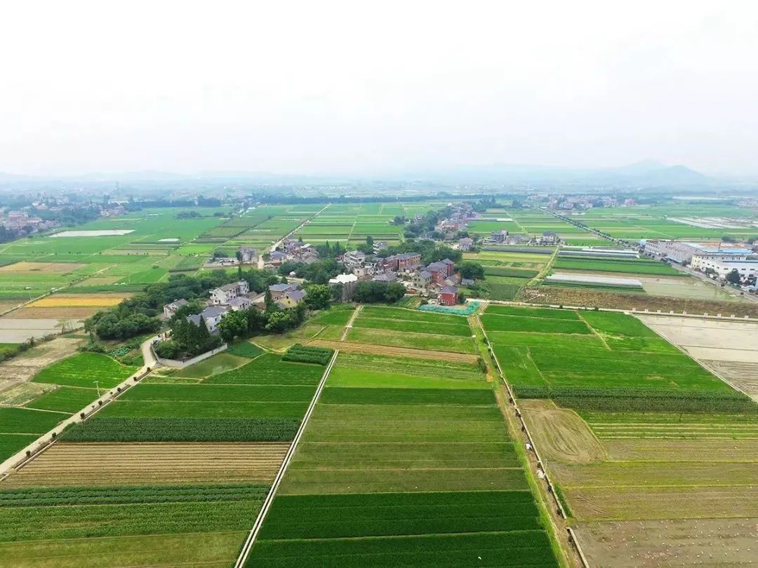 回望来时路，已郁郁葱葱：一览“两山”理论在余杭大地的生动实践（开篇）
