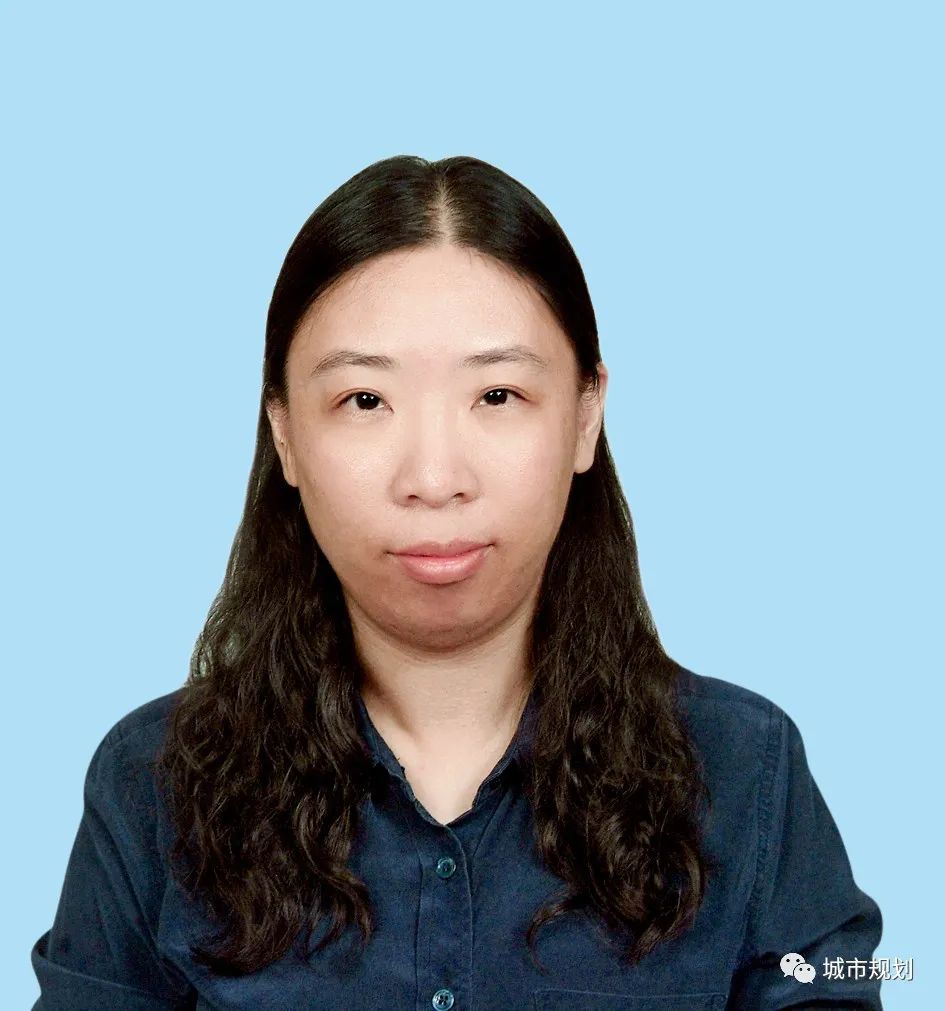 【探索与行动】城镇风貌管控的制度化路径