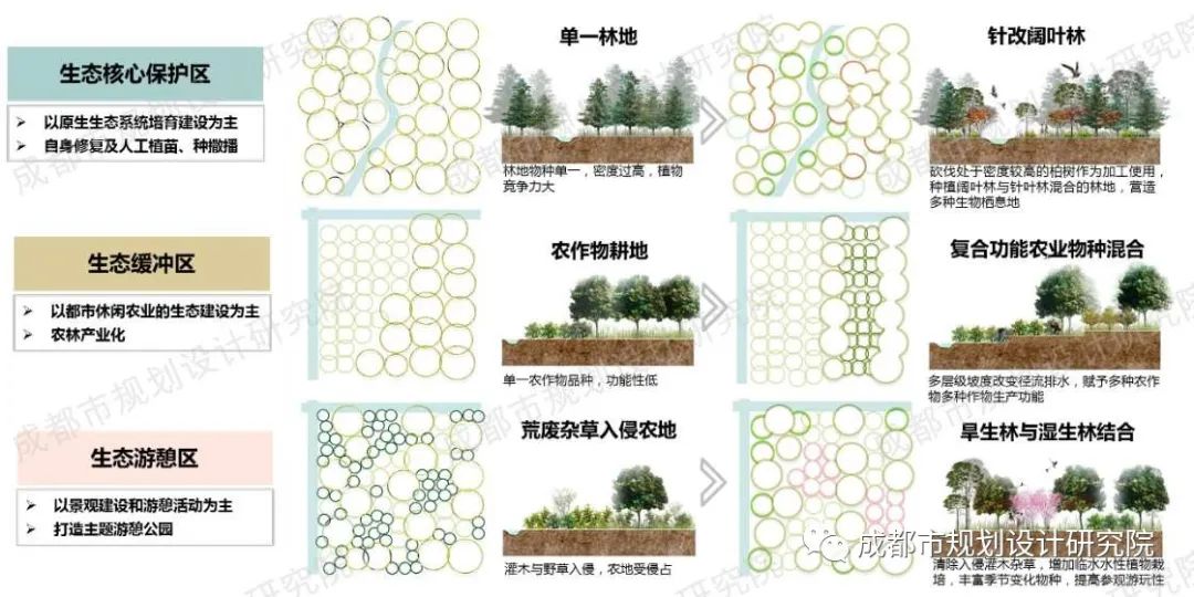 答好“时代课题”，建好“公园城市” ——《龙泉山城市森林公园总体规划》