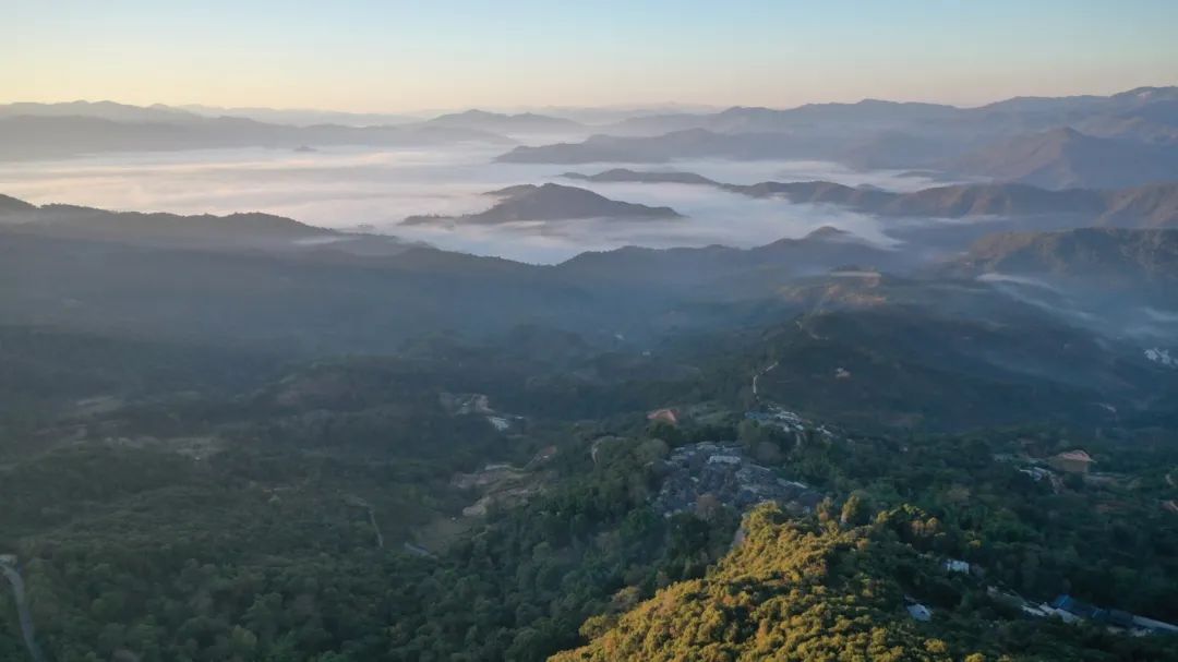 【重点项目】以茶问道——“景迈山古茶林文化景观”遗产阐释展示|CHCC2019项目评优系列 【重点项目】以茶问道——“景迈山古茶林文化景观”遗产阐释展示|CHCC2019项目评优系列