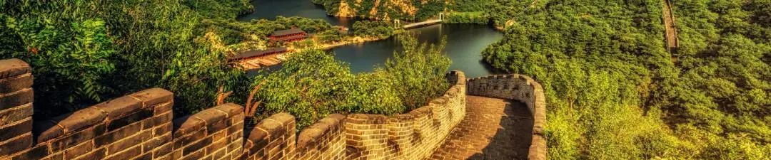 习近平:整体谋划、系统重塑、全面提升,织牢织密公共卫生防护网 习近平:整体谋划、系统重塑、全面提升,织牢织密公共卫生防护网