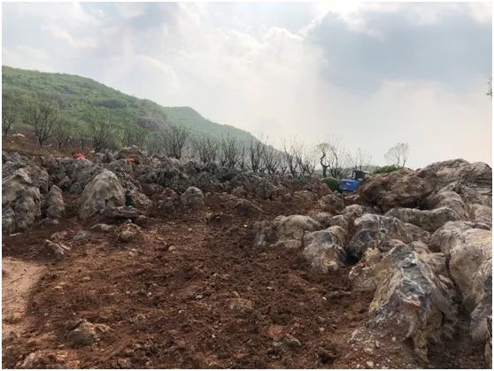 南京园博园 | 打造顶级山地花园群之地形与空间营造