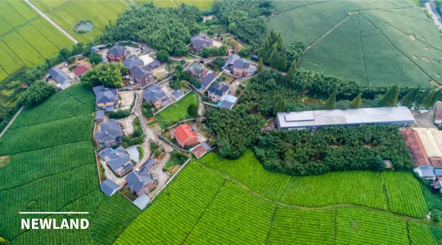 新法之下 | 集体建设用地入市流转的难点与路径