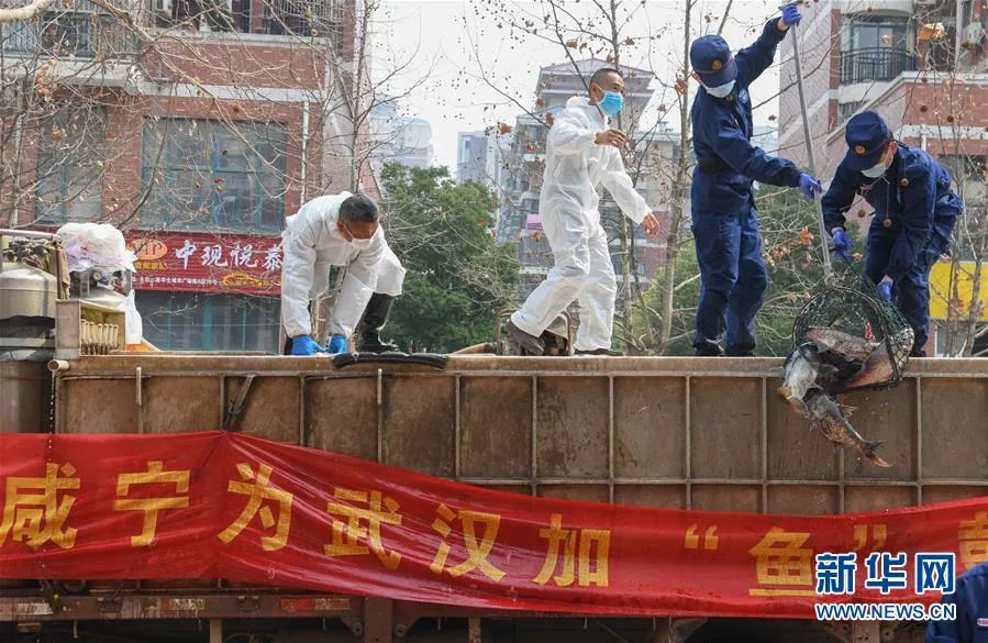从人民中汲取磅礴力量 ——习近平总书记同出席2020年全国两会人大代表、政协委员共商国是纪实