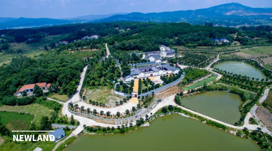 董祚继 | 从土地利用规划到国土空间规划