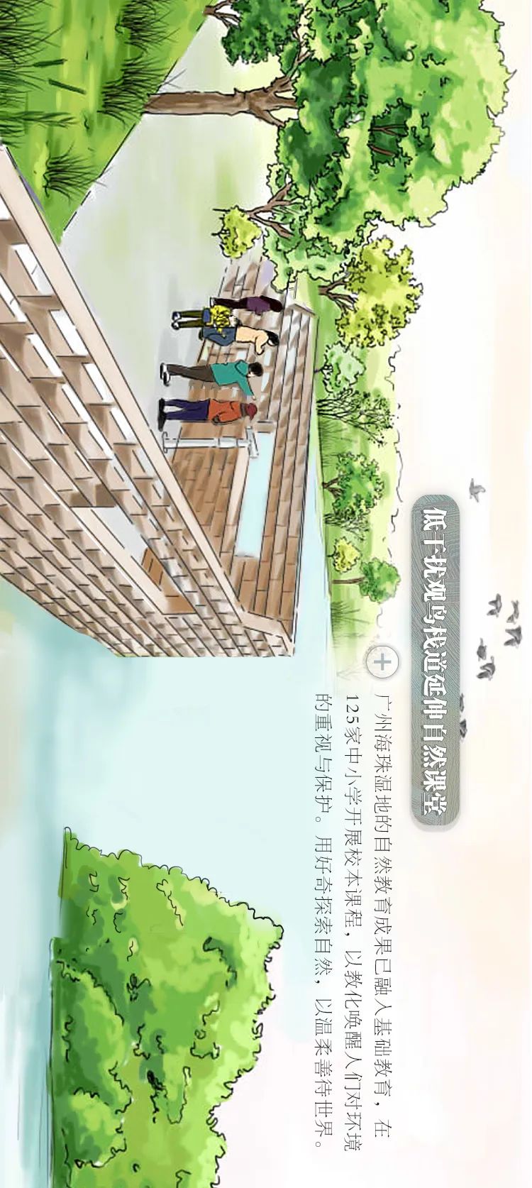 一图读懂｜聚焦自然和生物多样性，守护“城央绿心，鱼鸟天堂”