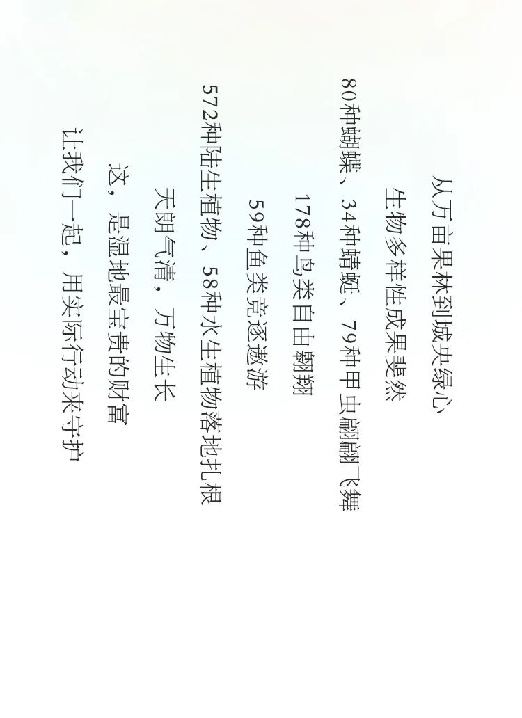 一图读懂｜聚焦自然和生物多样性，守护“城央绿心，鱼鸟天堂”