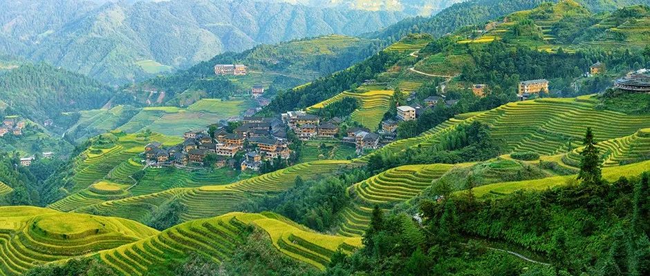 第一次见到这么简明的对乡村的定义——快来看《中华人民共和国乡村振兴促进法(草案)》