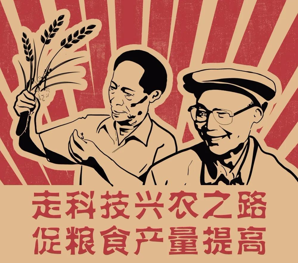 像保护大熊猫一样保护耕地！