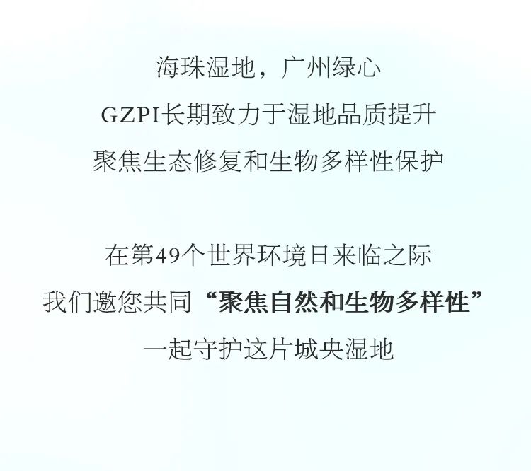 一图读懂｜聚焦自然和生物多样性，守护“城央绿心，鱼鸟天堂”