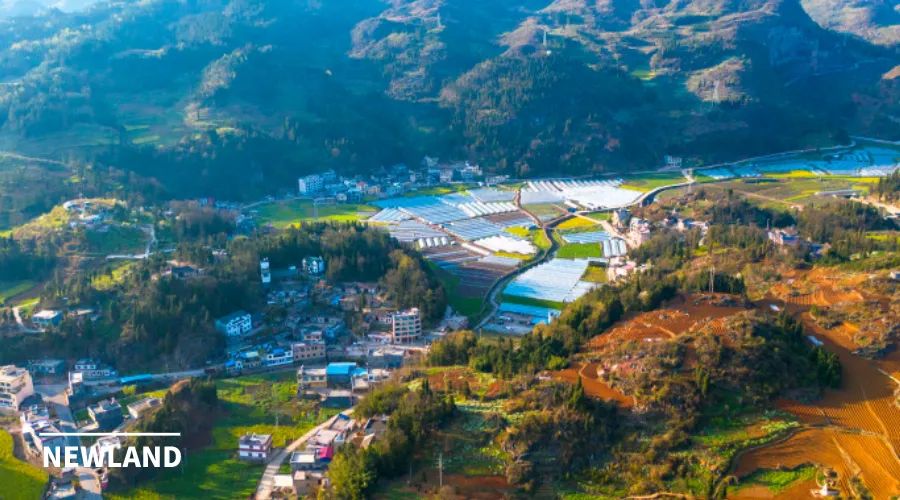 董祚继：土地市场化配置改革重在落实