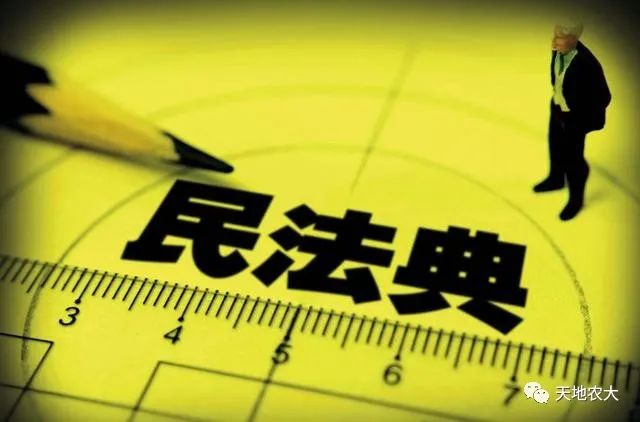 人民日报：“合村并居”问题能否在《民法典》里找到答案？