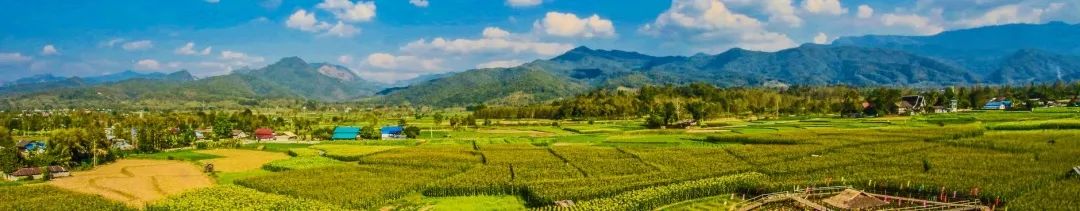 期待乘风破浪的乡村!乡村振兴促进法(草案)征求意见 期待乘风破浪的乡村!乡村振兴促进法(草案)征求意见