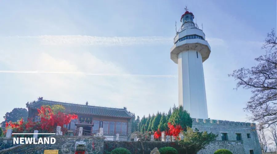 成都长春之后是烟台！区划大调整背后，城市收缩时代也全面到来