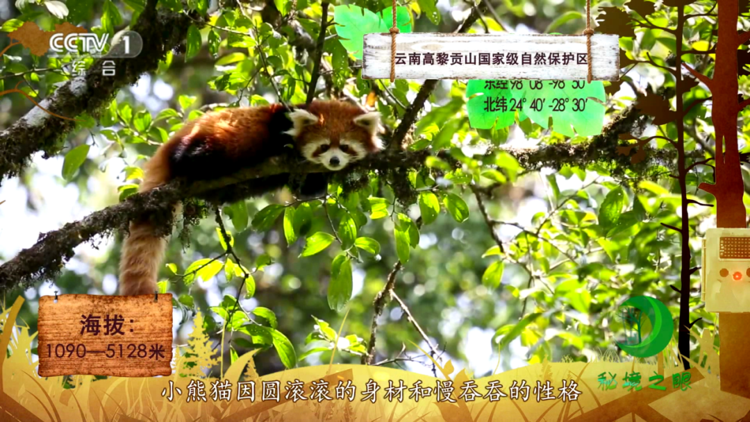 太有爱！《秘境之眼》2020年精彩影像评选结果揭晓→