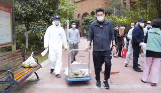 武汉的“规划铁军”将规划人的专业和担当写在了深爱的故乡大地上 武汉的“规划铁军”将规划人的专业和担当写在了深爱的故乡大地上