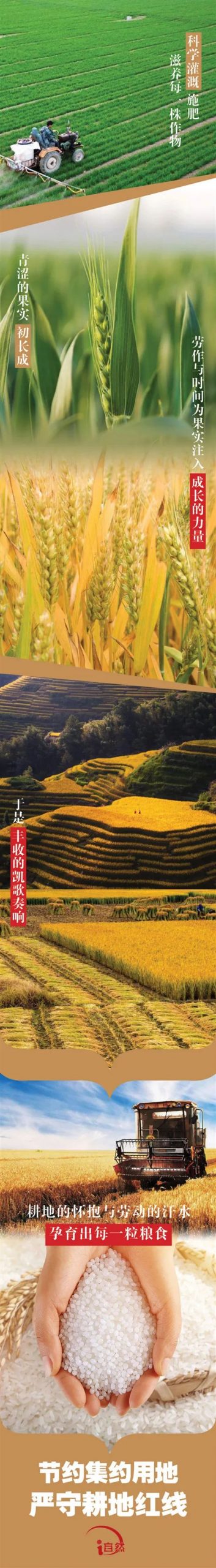 长图 | 让每一寸耕地都成为丰收的沃土
