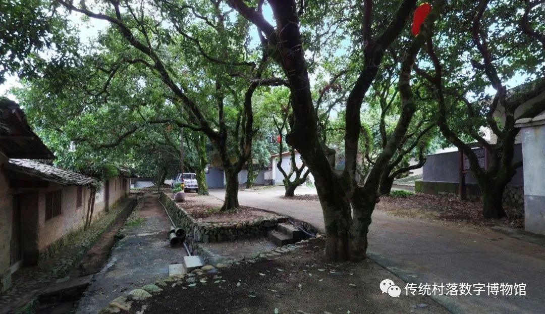 百年闽南古厝,有兴趣的亲快来认领!坐标泉州永春茂霞村 百年闽南古厝,有兴趣的亲快来认领!坐标泉州永春茂霞村