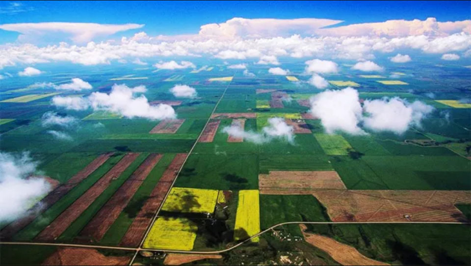 全国土地日丨北京市规划自然资源委主任张维：以全域管控之力 谋耕地保护之实