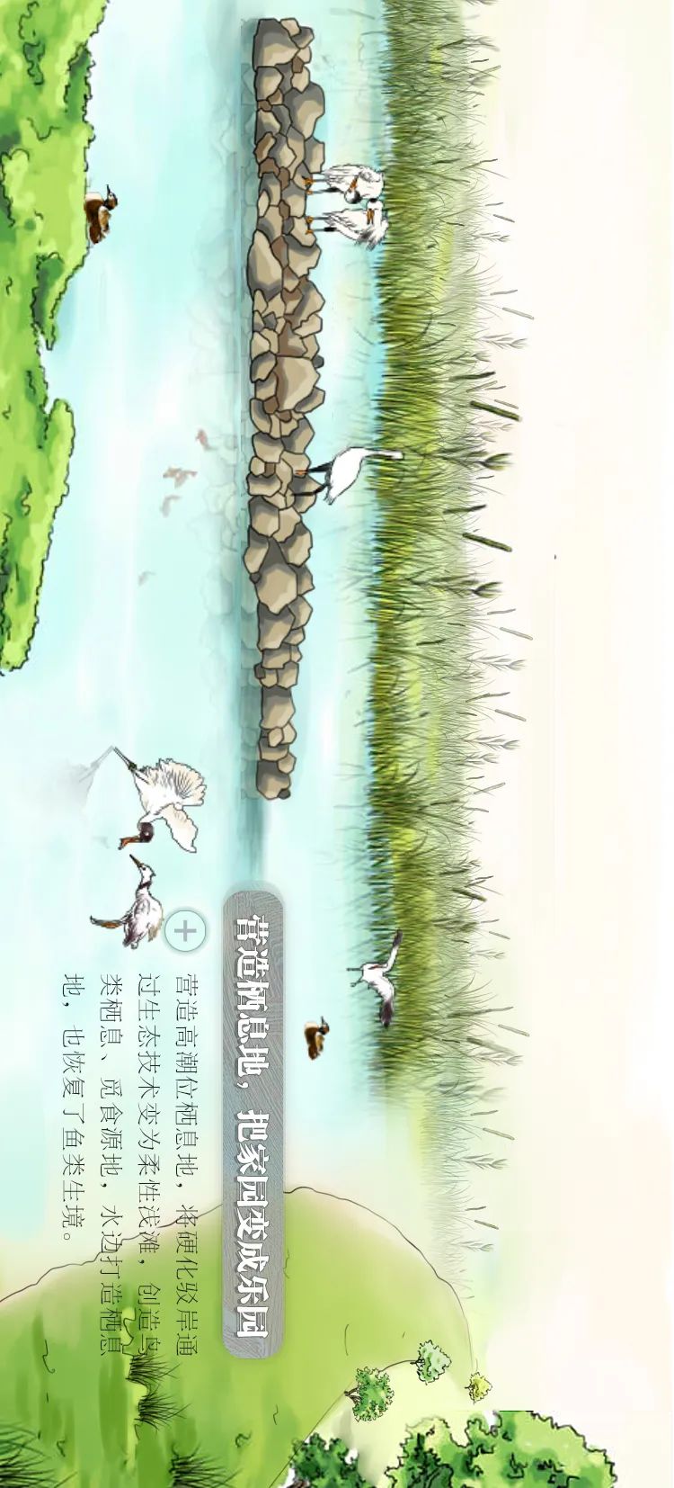 一图读懂｜聚焦自然和生物多样性，守护“城央绿心，鱼鸟天堂”