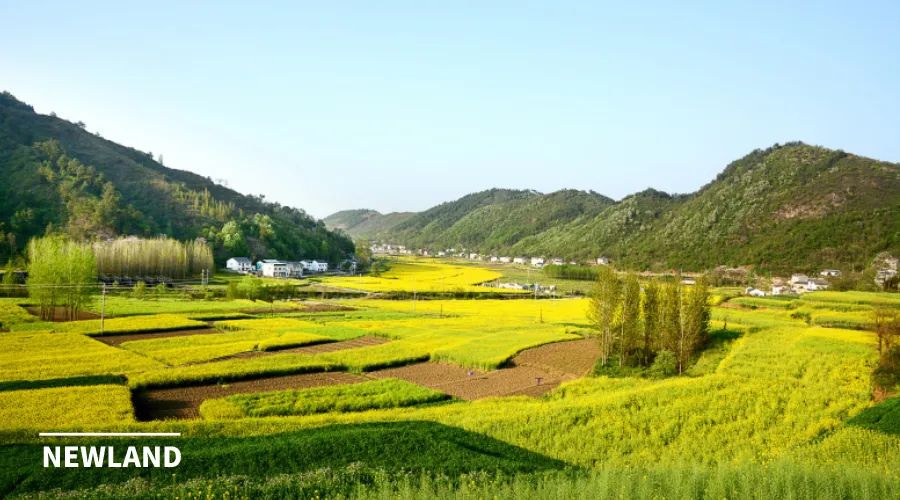 董祚继：土地市场化配置改革重在落实
